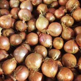 fresh vegetables speyfruit online ordering round shallots