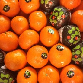 Satsuma Clementines online fruit and veg moray scotland