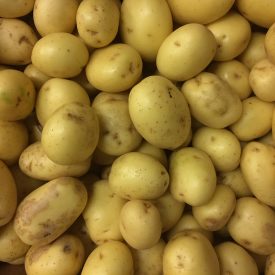 fresh vegetables speyfruit online ordering baby roasters