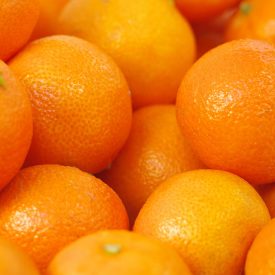 speyfruit online fruit and veg moray