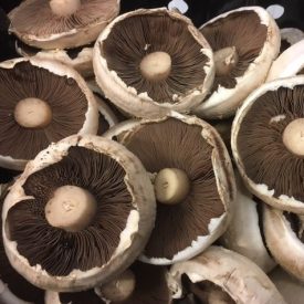 Speyfruit online fruit and veg flat mushrooms