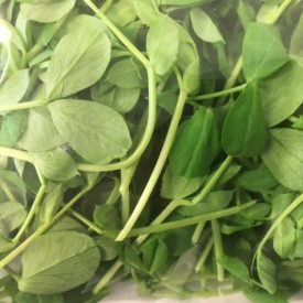 speyfruit online fruit and veg moray