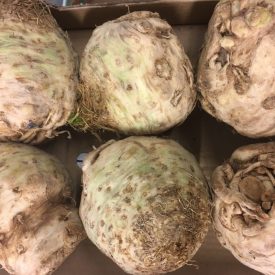 fresh vegetables speyfruit online celeriac