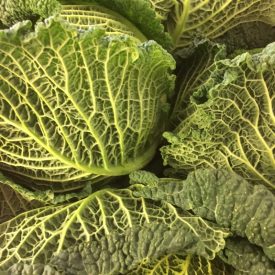 fresh vegetables speyfruit online ordering savoy cabbage