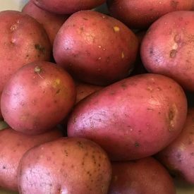 fresh vegetables speyfruit online ordering roosters bakers