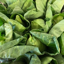 speyfruit online fruit and veg moray hispy cabbage