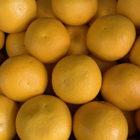 speyfruit online fruit and veg moray