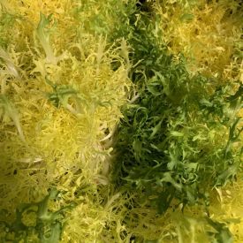 speyfruit online fruit and veg moray