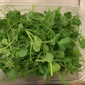 speyfruit online fruit and veg moray