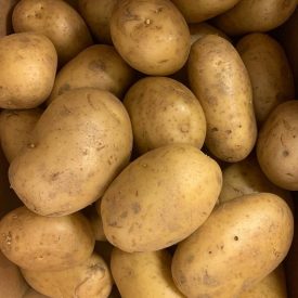 speyfruit online fruit and veg moray