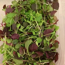 speyfruit online fruit and veg moray