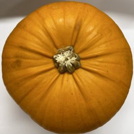 Pumpkin