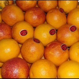 Blood Oranges